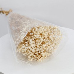11-120g