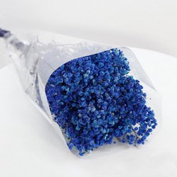 12-120g