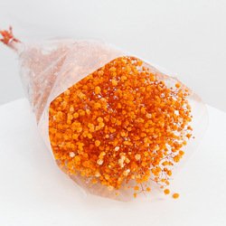 13-120g