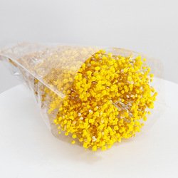 14-120g
