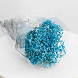 17-120g