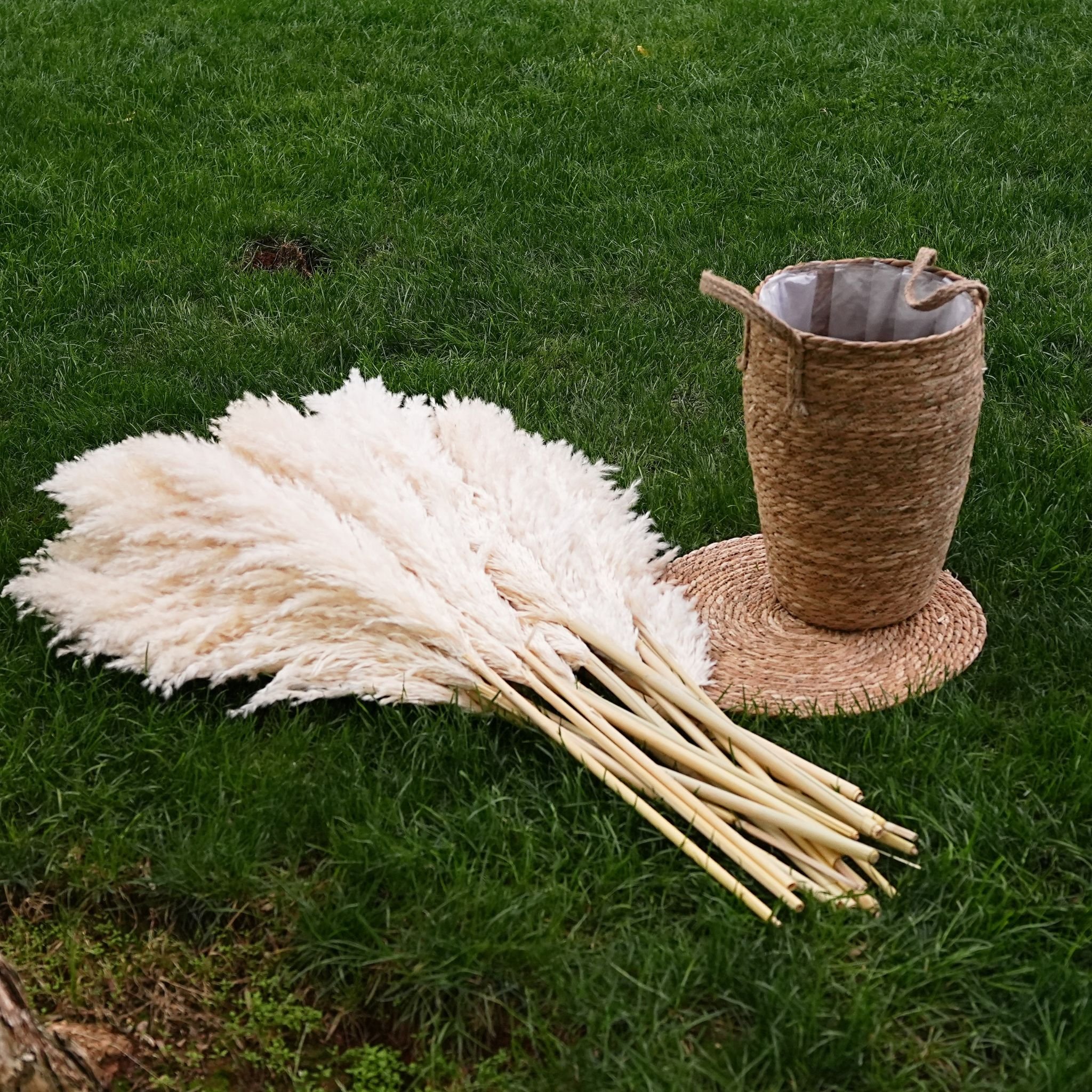 Factory direct sales of large pampas grass Dried dried flowers bohemian pampas Wedding home decor Pampas reed
