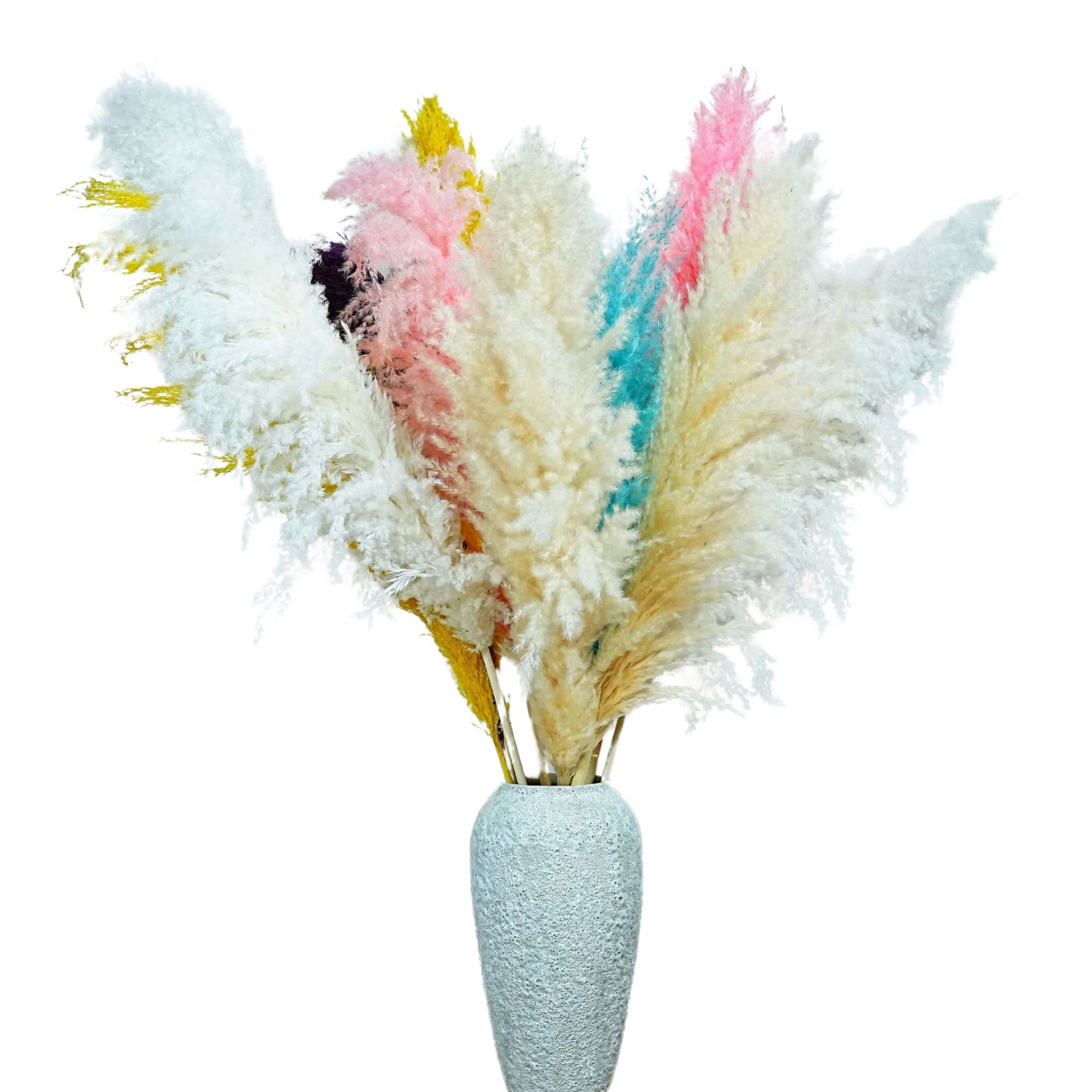 Factory direct sales of large pampas grass Dried dried flowers bohemian pampas Wedding home decor Pampas reed