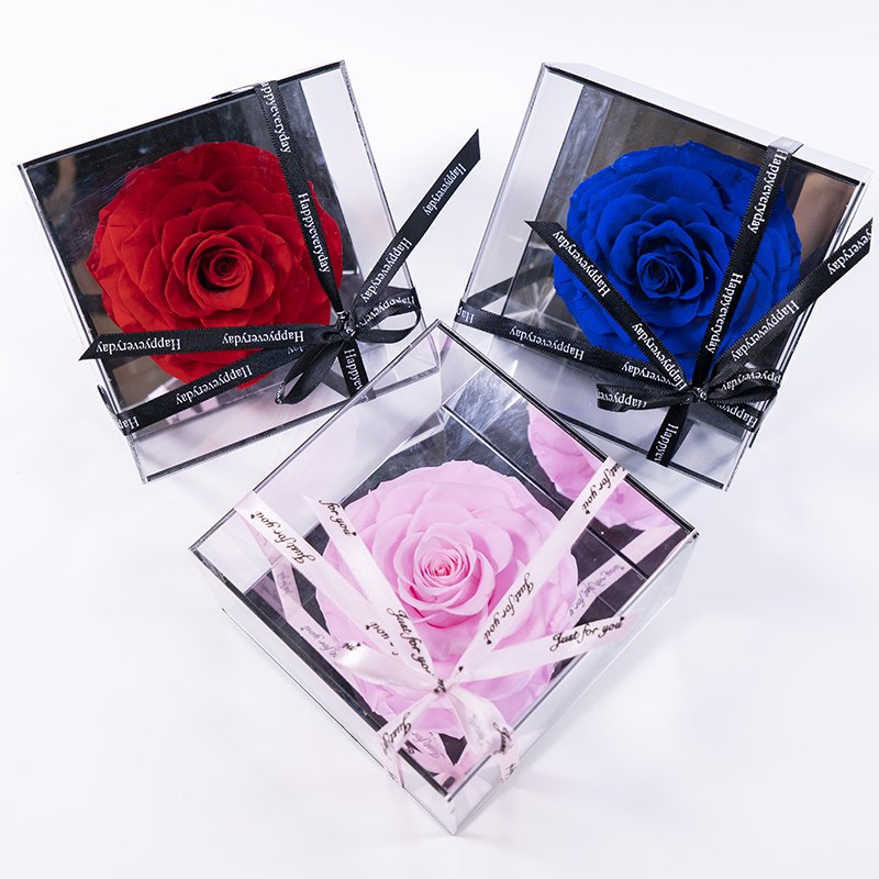 Forever Flower Box Pour Fleur Rosa Stabilizzata Eternal Jewelry Acrylic Preserved Roses