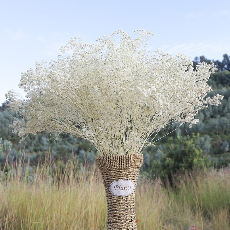 Wholesale Wedding Decoration preserved gypsophila flower White Babies Breath bouquet white gypsophila