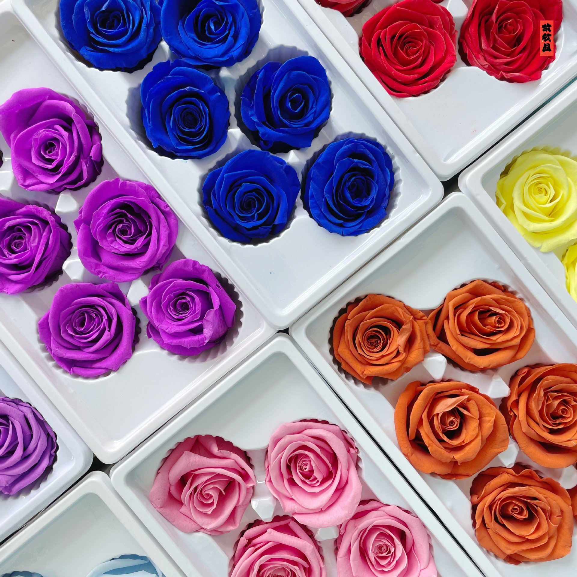 long lasting saving real roses wholesale preserved rose flower