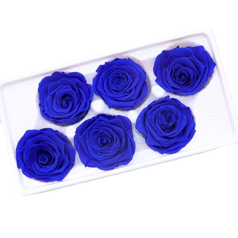 long lasting saving real roses wholesale preserved rose flower