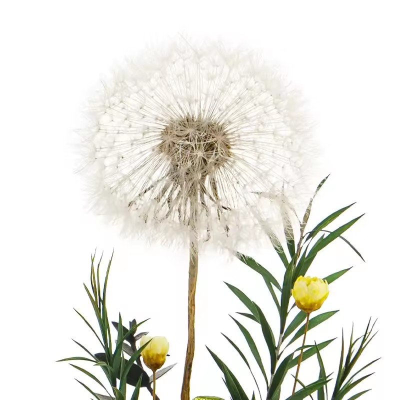 Hot Selling 2024 Floral Centerpiece Botanical Table Arrangement Preserved Dandelion Flower In Glass Dome