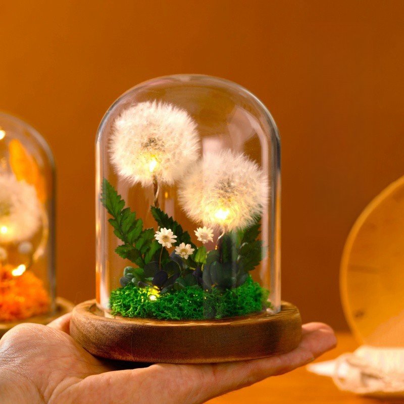 Hot Selling 2024 Floral Centerpiece Botanical Table Arrangement Preserved Dandelion Flower In Glass Dome