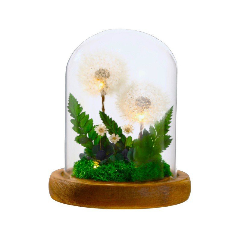 Hot Selling 2024 Floral Centerpiece Botanical Table Arrangement Preserved Dandelion Flower In Glass Dome