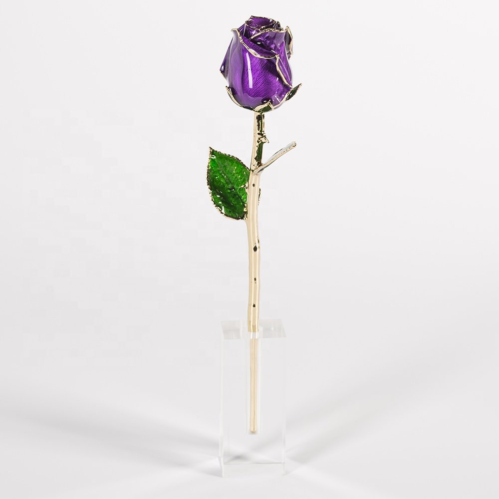 24k gold trimmed rose fresh preserved flower gold plated natural rose handmade preserved rose