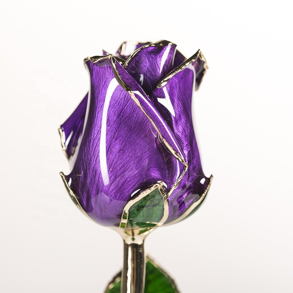 24k gold trimmed rose fresh preserved flower gold plated natural rose handmade preserved rose