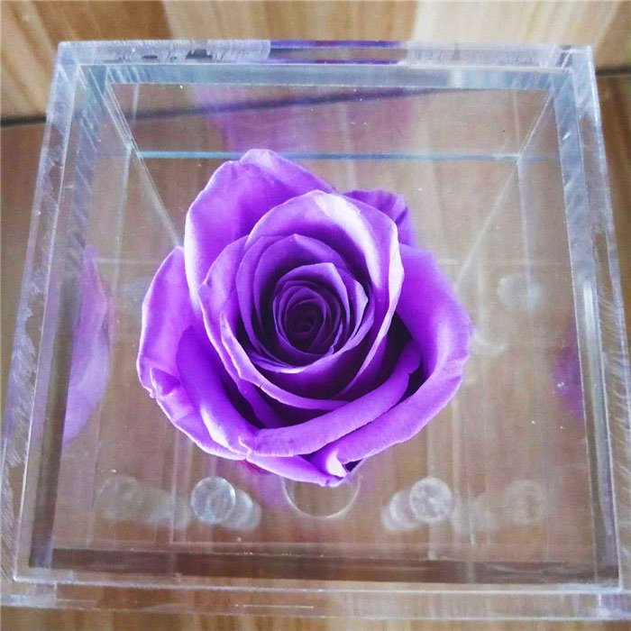 Wholesale 1 roses eternal rose single preserved rose in acrylic box