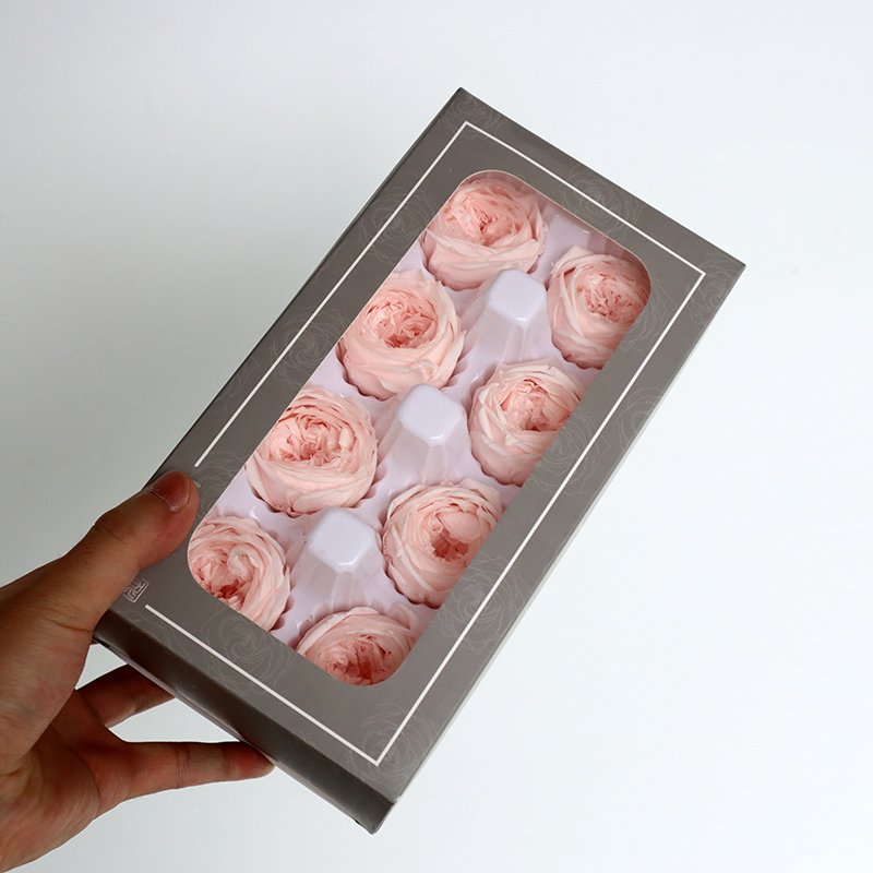 David Austin Roses real fresh preserved flower 8 pcs box order 4 - 5 cm everlasting valentine flower gift Preserved Roses