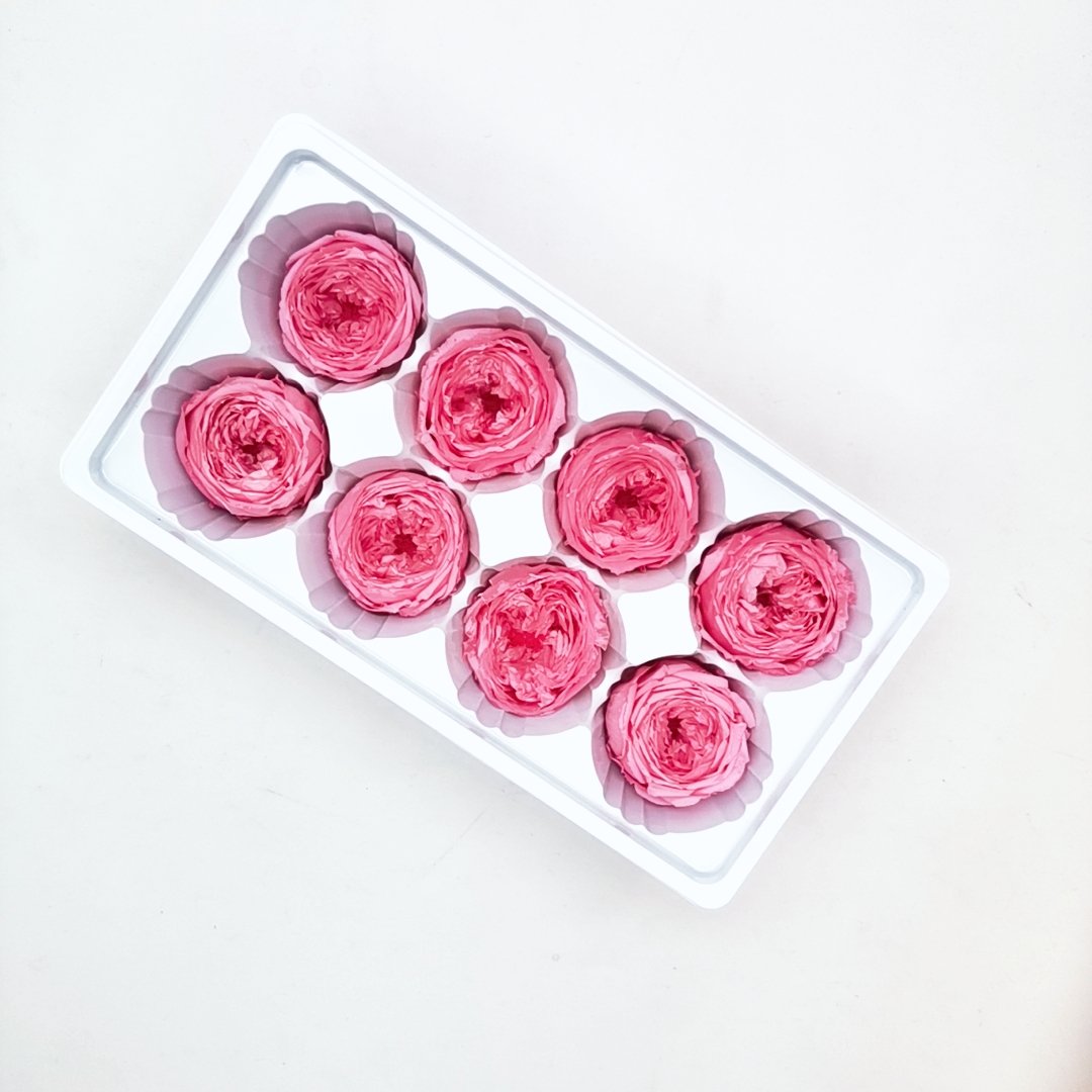 David Austin Roses real fresh preserved flower 8 pcs box order 4 - 5 cm everlasting valentine flower gift Preserved Roses