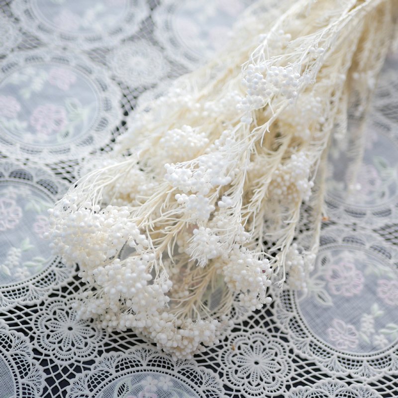 Rice Flower Preserved Bleached Yunnan Wholesale Flowers Wedding Boho Decor Arrangement Pink Bouquet Preserved Rice Flower