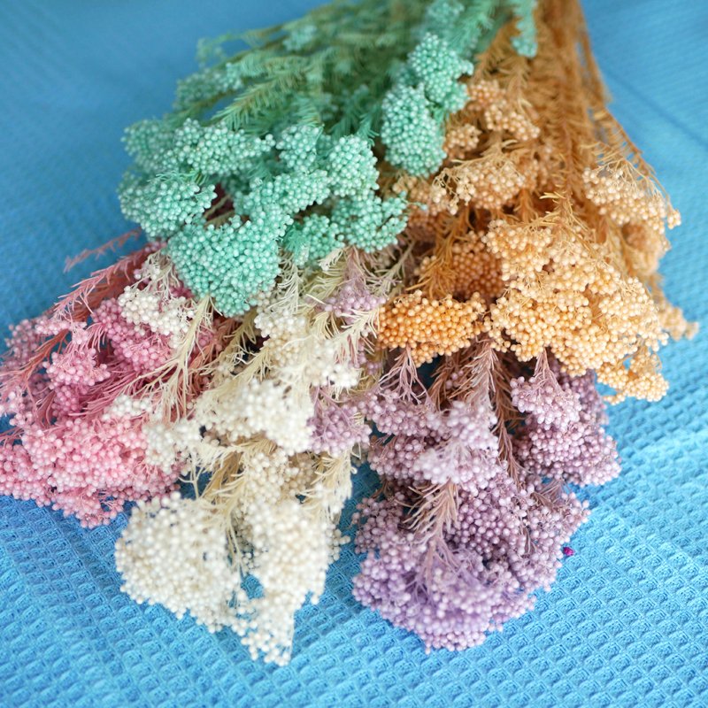 Rice Flower Preserved Bleached Yunnan Wholesale Flowers Wedding Boho Decor Arrangement Pink Bouquet Preserved Rice Flower
