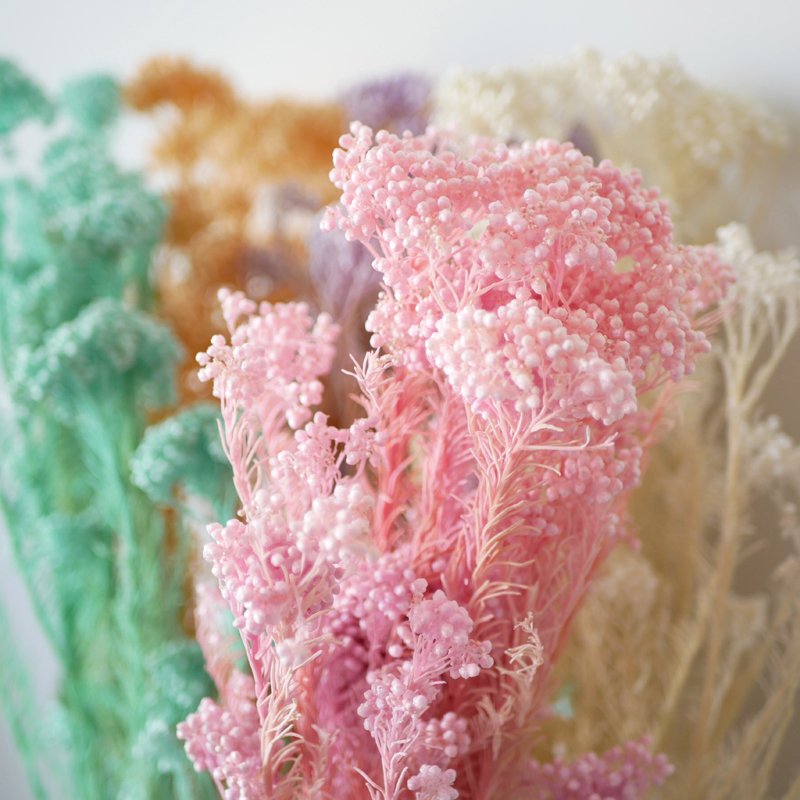 Rice Flower Preserved Bleached Yunnan Wholesale Flowers Wedding Boho Decor Arrangement Pink Bouquet Preserved Rice Flower