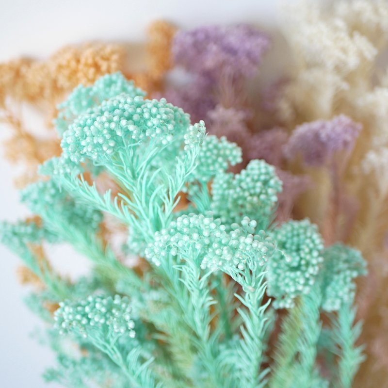 Rice Flower Preserved Bleached Yunnan Wholesale Flowers Wedding Boho Decor Arrangement Pink Bouquet Preserved Rice Flower