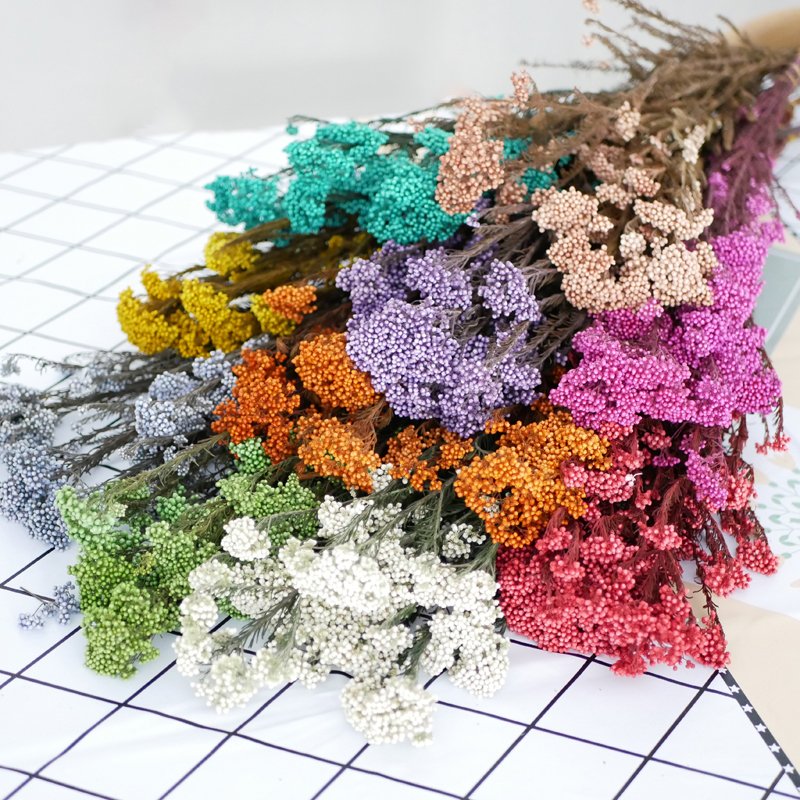Rice Flower Preserved Bleached Yunnan Wholesale Flowers Wedding Boho Decor Arrangement Pink Bouquet Preserved Rice Flower
