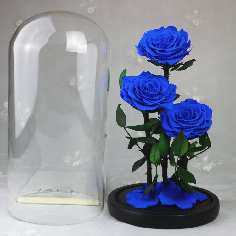 Best Valentines Day Gifts A Grade rose preserved flower in glass dome with three roses