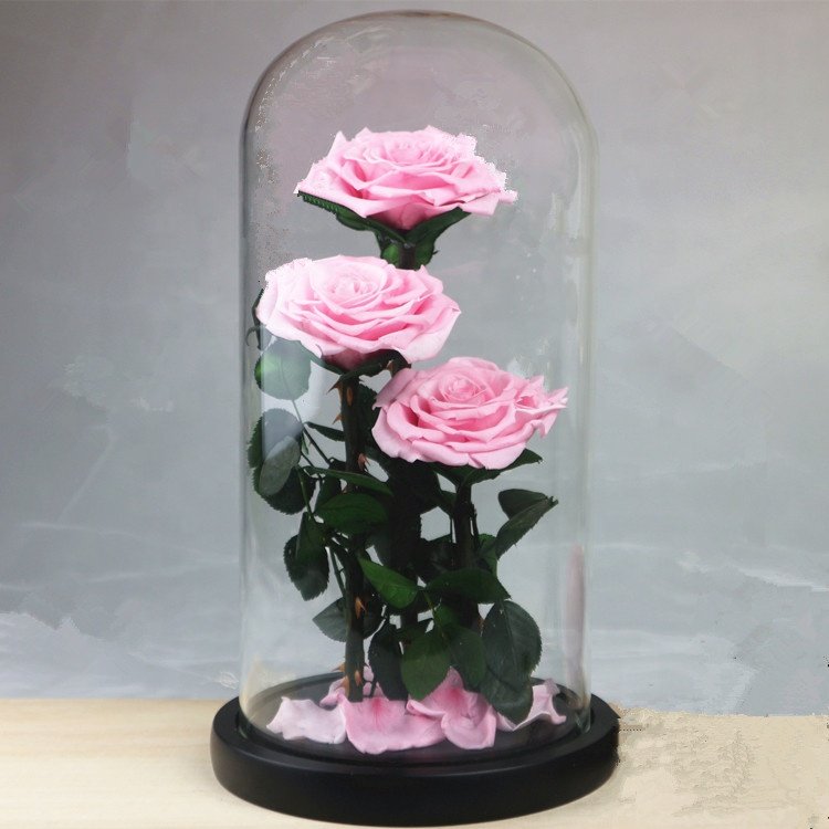 Best Valentines Day Gifts A Grade rose preserved flower in glass dome with three roses
