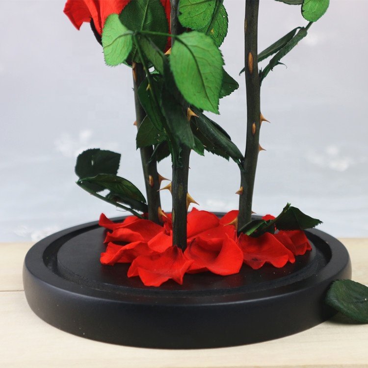 Best Valentines Day Gifts A Grade rose preserved flower in glass dome with three roses