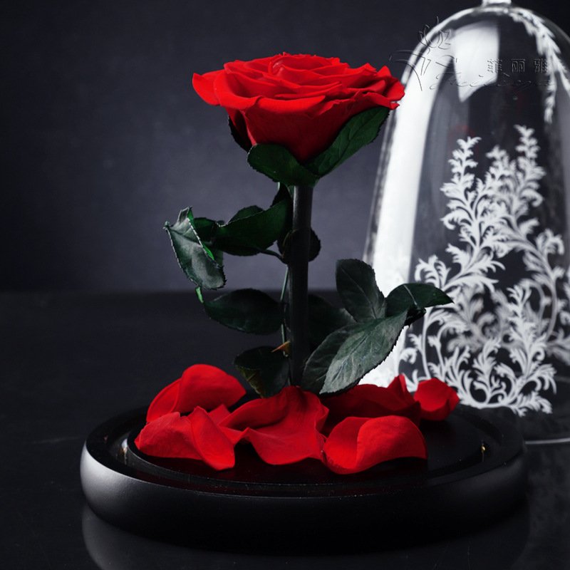 Rose Beautiful Artificial Red Eternal Rose Preserved Flower With Led Lights In Glass Dome for festival or birthday