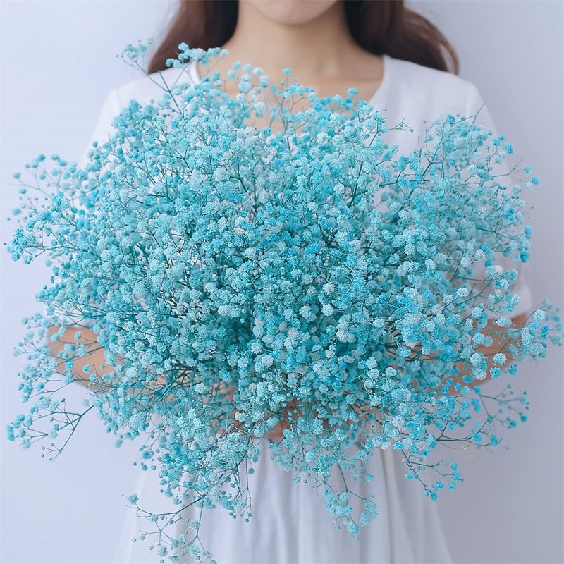 M2-120g/450g hot sale natural dried flower baby breath preserved gypsophila for wedding decoration