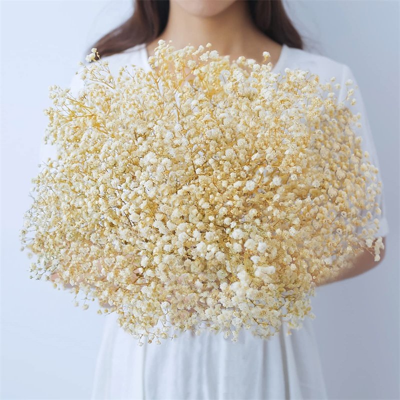 M2-120g/450g hot sale natural dried flower baby breath preserved gypsophila for wedding decoration