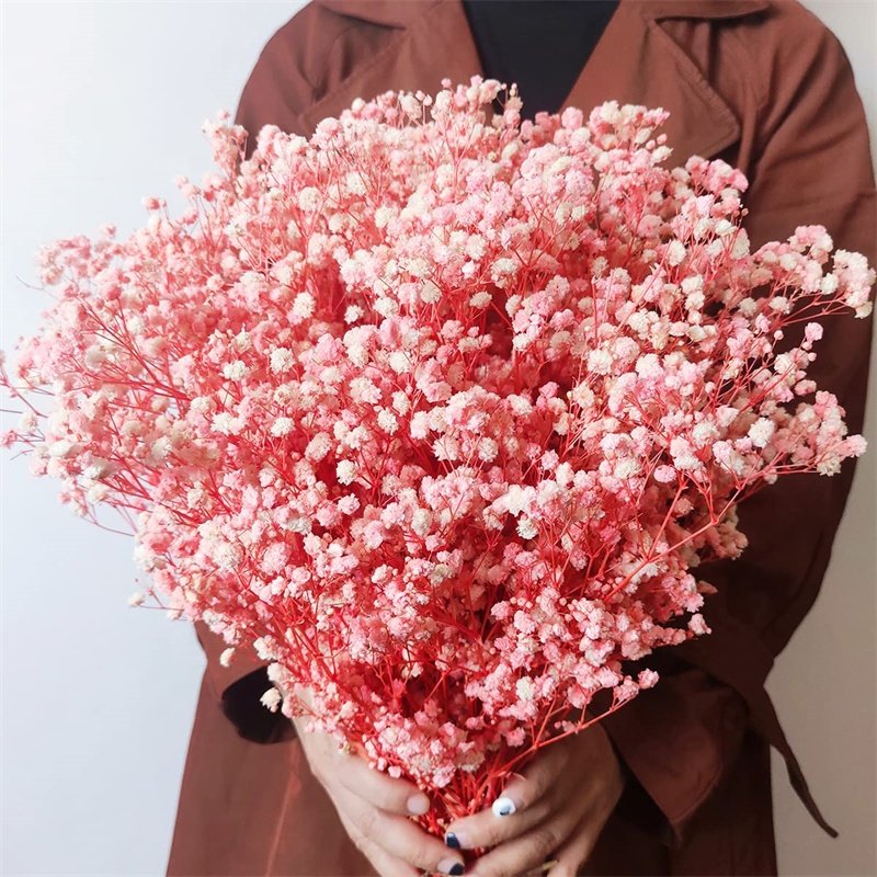 M2-120g/450g hot sale natural dried flower baby breath preserved gypsophila for wedding decoration