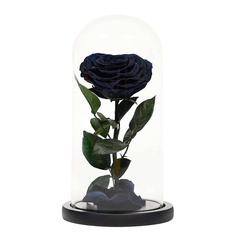 luxurious valentines day black preserved roses in glass dome gifts