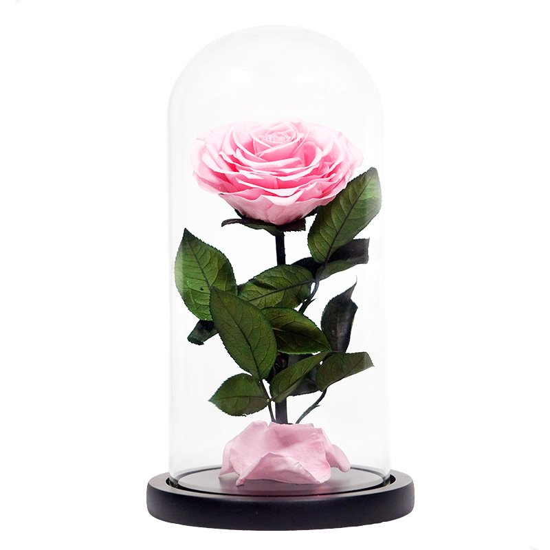 luxurious valentines day black preserved roses in glass dome gifts