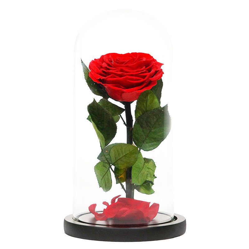 luxurious valentines day black preserved roses in glass dome gifts