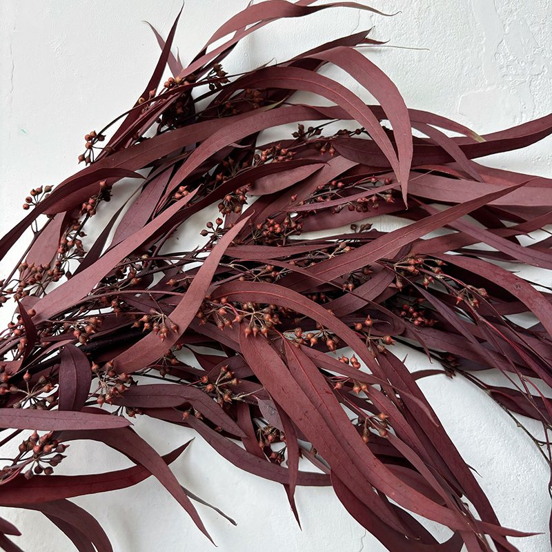 Yunnan Immortal Eucalyptus Leaves Flowers Bouquet Aromatherapy Materials Cross-Border Hot Selling Wholesale Christmas Occasions