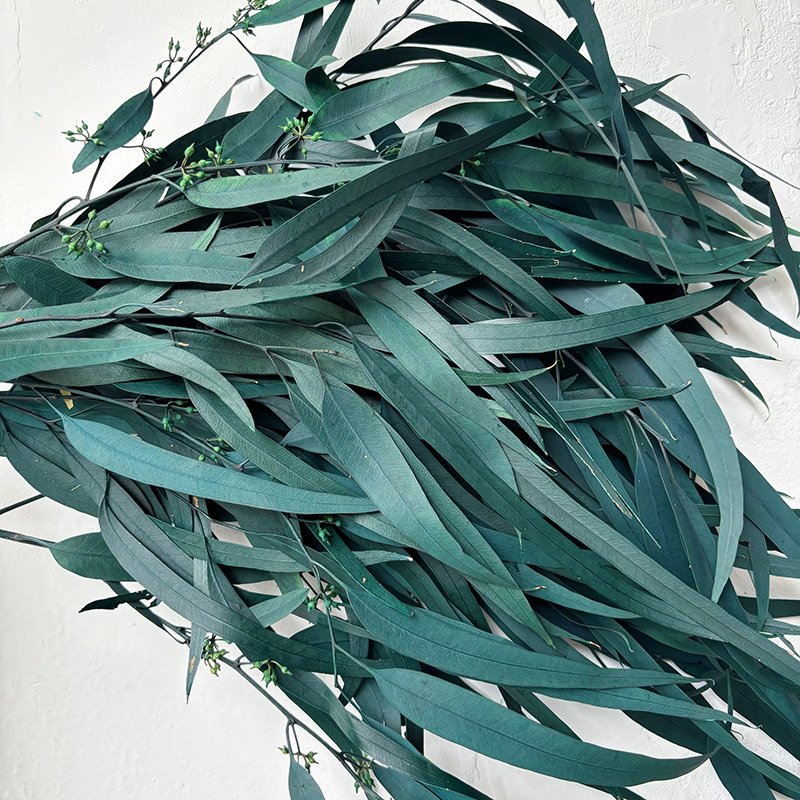 Yunnan Immortal Eucalyptus Leaves Flowers Bouquet Aromatherapy Materials Cross-Border Hot Selling Wholesale Christmas Occasions