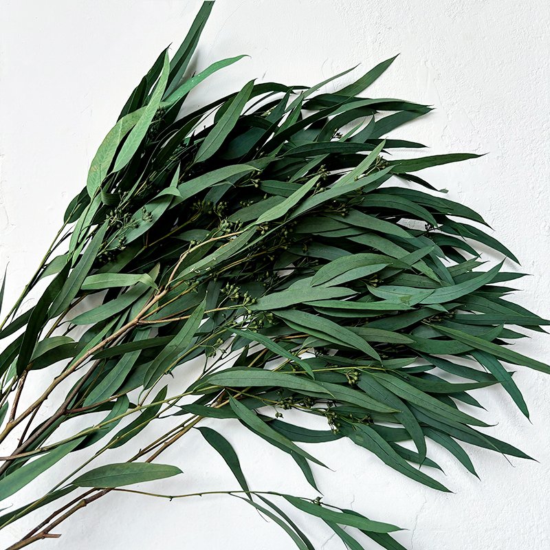 Yunnan Immortal Eucalyptus Leaves Flowers Bouquet Aromatherapy Materials Cross-Border Hot Selling Wholesale Christmas Occasions