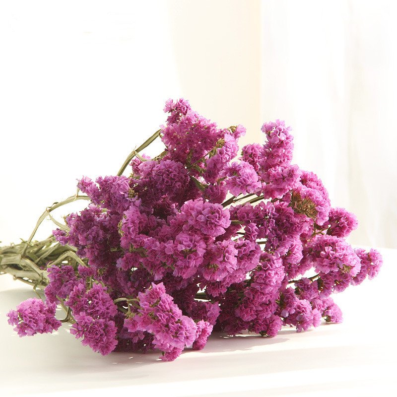 FBY02S-69 Wholesale Eternal Real Natural preserved flower Long Lasting Dried Flower Preserved Myosotis Limonium Forget Me Not
