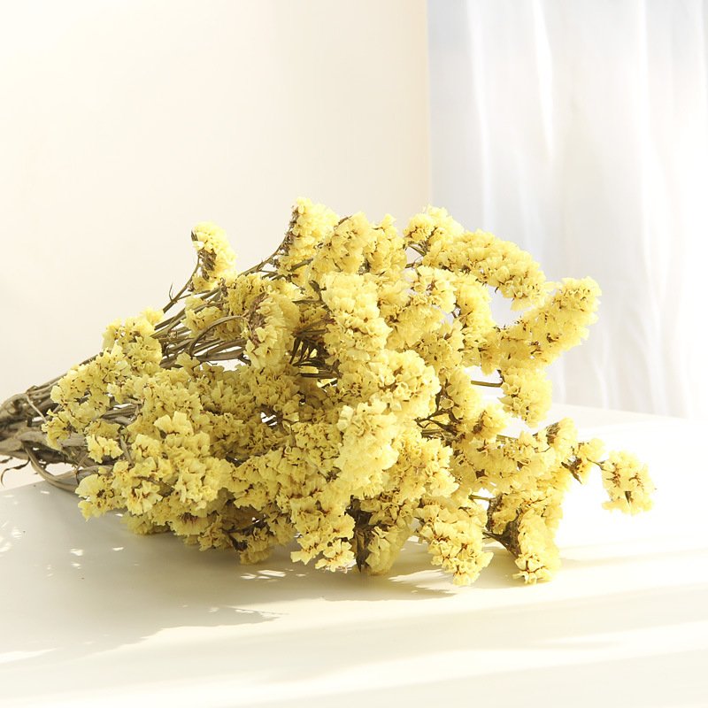 FBY02S-69 Wholesale Eternal Real Natural preserved flower Long Lasting Dried Flower Preserved Myosotis Limonium Forget Me Not