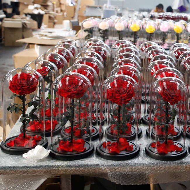 New elegant decorative preserved rose preserved flower glass dome heart design preserved rose flower in glass heart dome