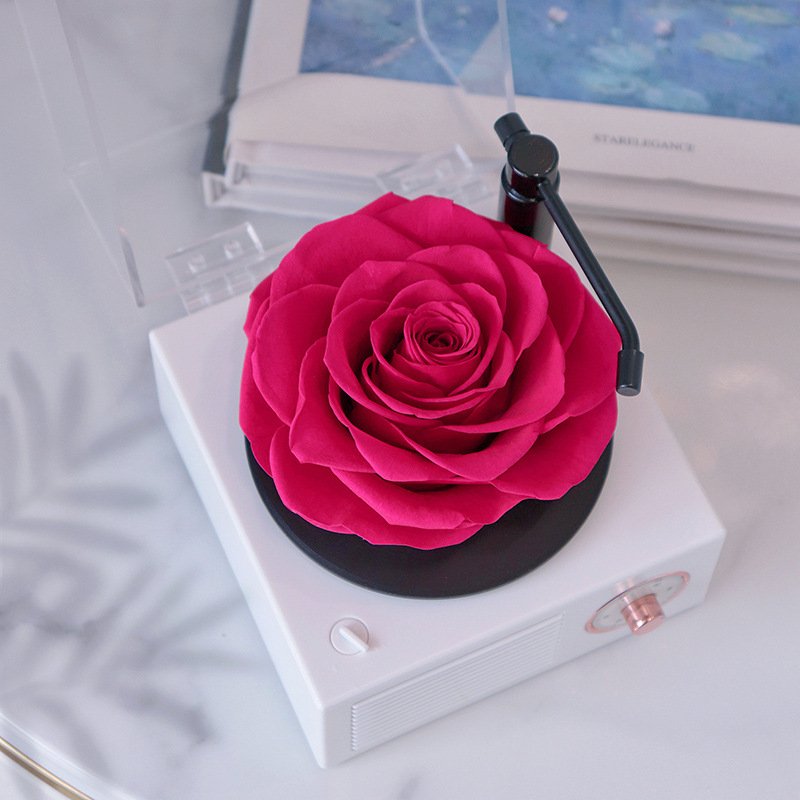 Long Last Roses Preserved In Flower Box USB Bluetooth Speaker Like Phonograph Style Box With Music
