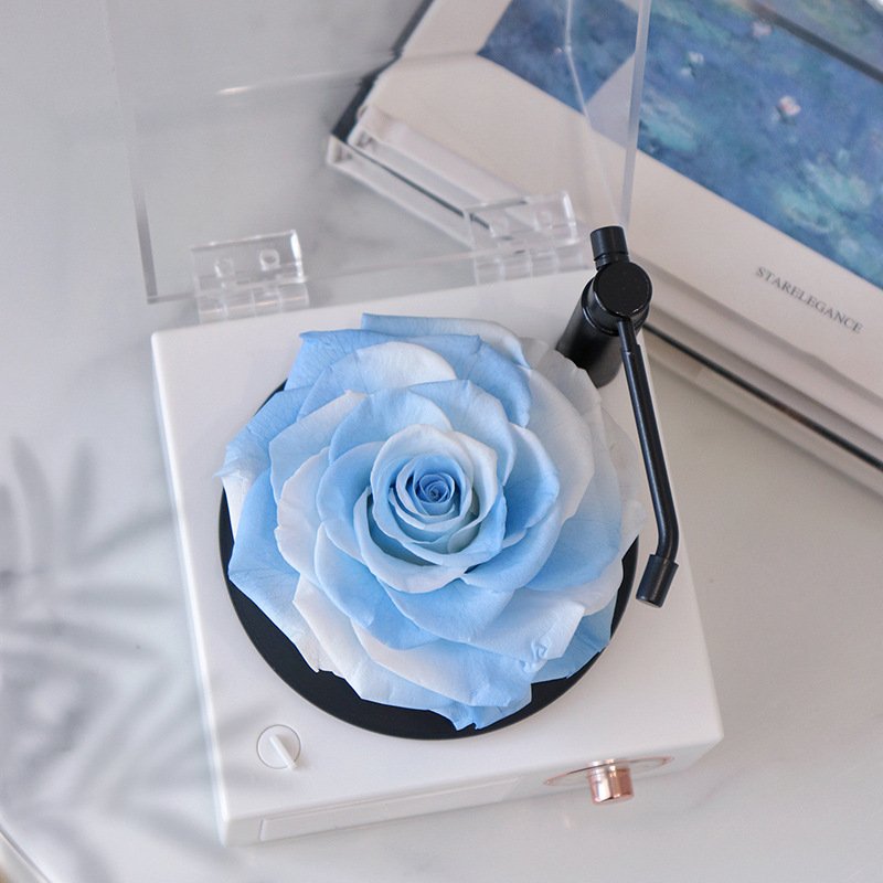 Long Last Roses Preserved In Flower Box USB Bluetooth Speaker Like Phonograph Style Box With Music