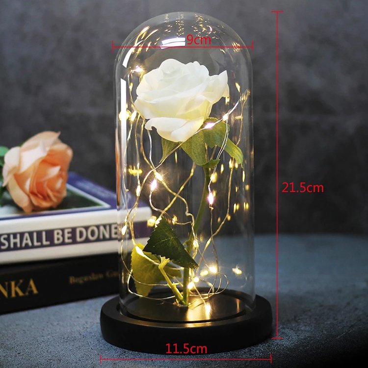 Rose Flower Gifts for Women Forever Rose in Glass Dome LED Light Up Rose Light Mothers Valentines Day Birthday Gifts
