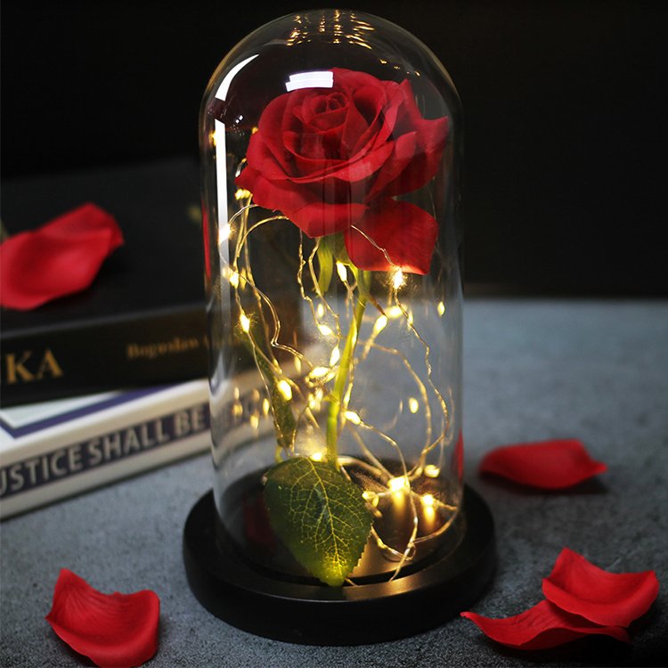 Rose Flower Gifts for Women Forever Rose in Glass Dome LED Light Up Rose Light Mothers Valentines Day Birthday Gifts