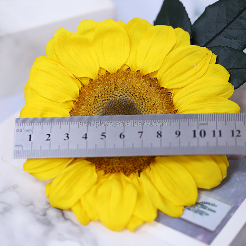 Wholesale Yellow Bulk Sunflower Preserved Flower Real Natural Preserved Plants for Decorative Flower