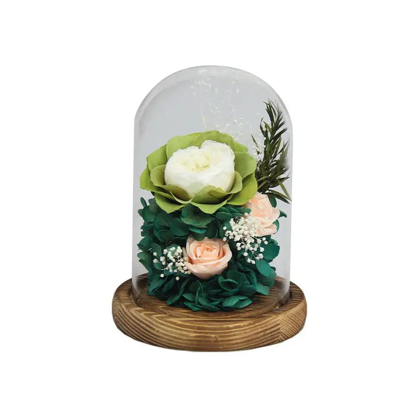 2024 New Arrival Stabilized Eternal Preserved Flower Forever Roses And Plants Everlasting Preserved Rose In Glass Dome Gift Box