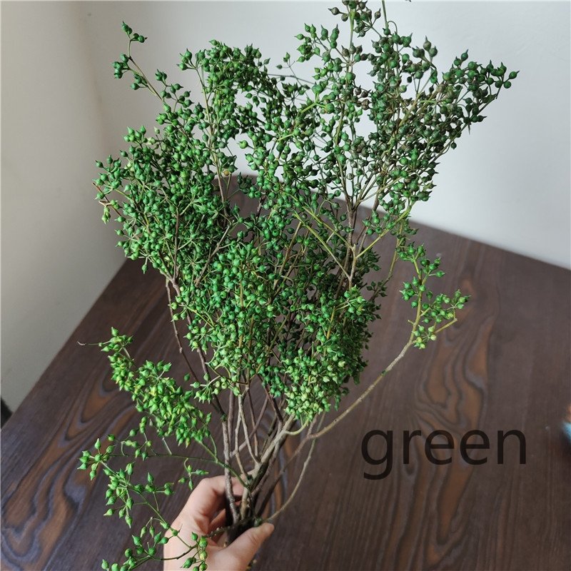 Preserved Natural Eucalyptus fruit mini spear ball, paw-shape flower, real tree branch spray