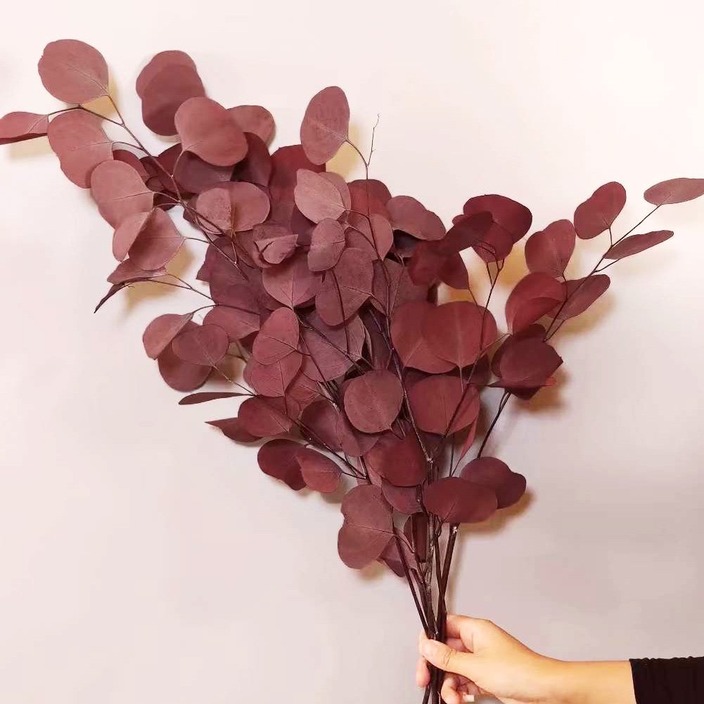 100g Money Leaf Branch Bouquet Silver Dollar Apple Leaf Preserved Eucalyptus Leaves Flower Arrangement Eternal Eucalyptus
