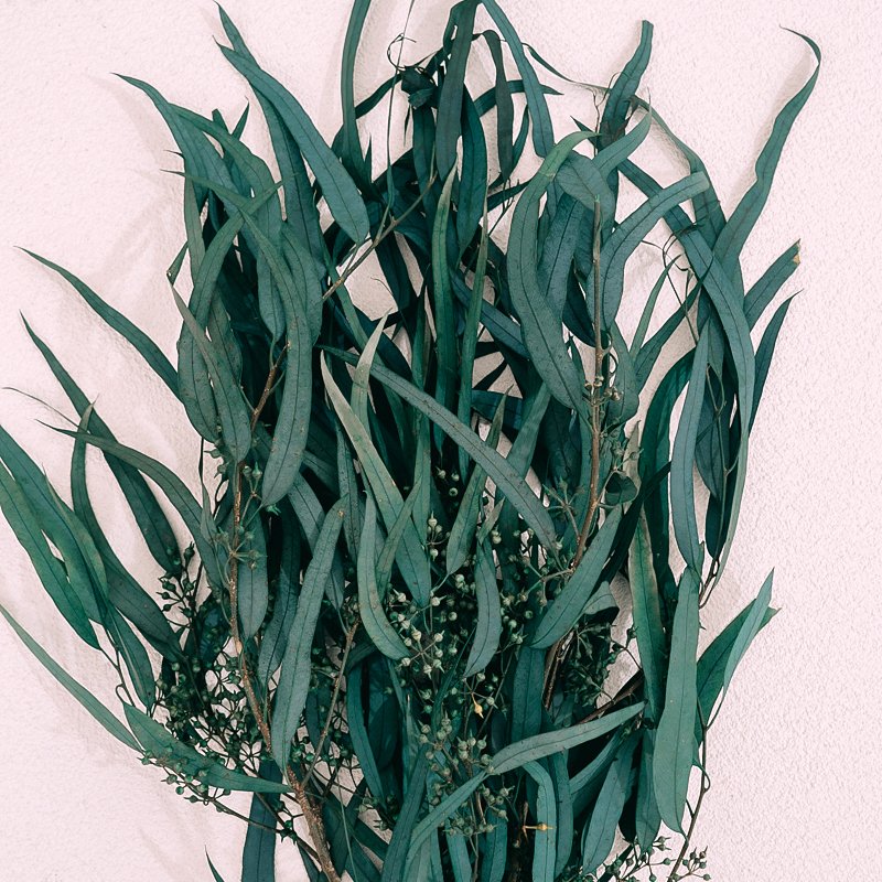 New Decoration Flowers Preserved Flowers High Quality Eucalyptus Leaves