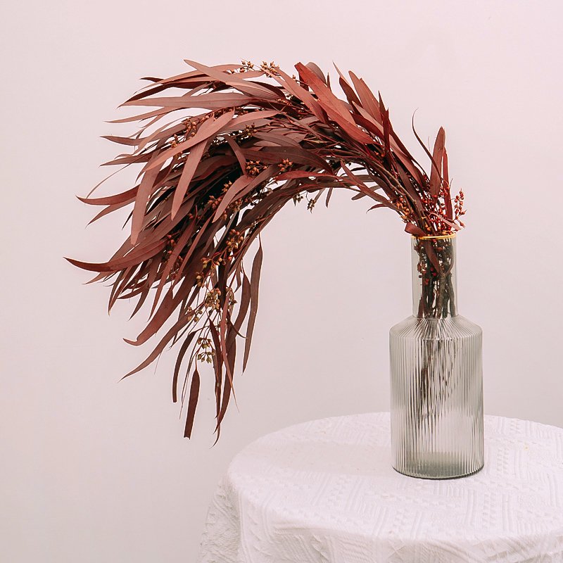 New Decoration Flowers Preserved Flowers High Quality Eucalyptus Leaves